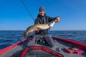 Fishing Expedition LakeSoniX - sonar Wi-Fi echosonda do wykrywania ryb
