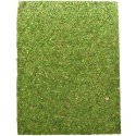 Repti-Zoo Natural Moss Back&Bottom - tło i podłoże z mchu 50x25cm