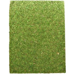 Repti-Zoo Natural Moss Back&Bottom - tło i podłoże z mchu 50x25cm