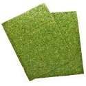 Repti-Zoo Natural Moss Back&Bottom - tło i podłoże z mchu 50x25cm