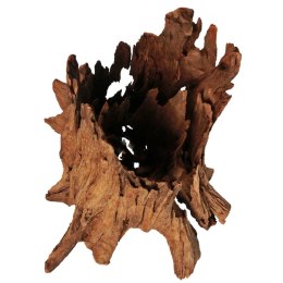 Philippines Classic Driftwood - drzewo mangrowca z wody L 30cm - 40cm
