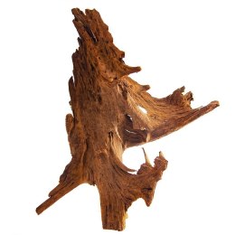 Philippines Classic Driftwood - drzewo mangrowca z wody XL 40cm - 50cm