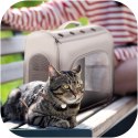 Furrever Friends Catmfort - plecak transporter dla kota i psa