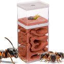 Ant Expert Mountain Empire - formikarium akrylowe