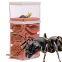 Ant Expert Mountain Empire - formikarium akrylowe