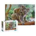 Puzzle Mały Koala i mama, 1000 el. 301183