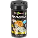 Repti-Zoo Gammarus 250ml - kiełż zdrojowy