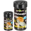 Repti-Zoo Gammarus 250ml - kiełż zdrojowy