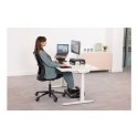 Fellowes Foot Support Breyta, black | Fellowes