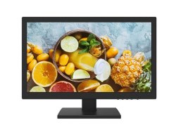 MONITOR 19