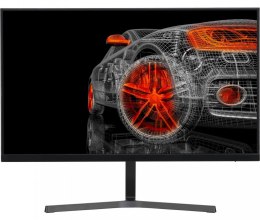 Monitor 24