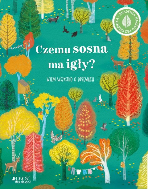 Czemu sosna ma igły?