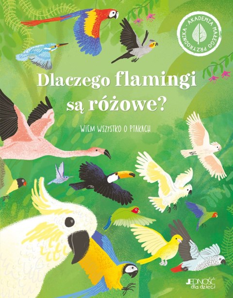 Dlaczego flamingi są różowe?