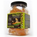 KOMODO JELLY POT HONEY - POKARM MIÓD W ŻELU