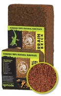 KOMODO TROPICAL TERRAIN BRICK M - PODŁOŻE Z WŁÓKIEN KOKOSA 4L