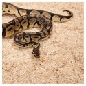 REPTI-ZOO ASPEN SNAKE BEDDING - PODŁOŻE WŁÓKNA TOPOLI 500G