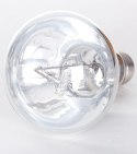 LAMPA ŻAROWO-RTĘCIOWA REPTI-ZOO 160W DO TERRARIUM