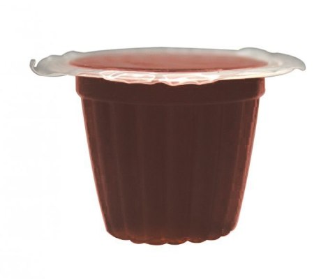 KOMODO JELLY POT BROWN SUGAR- POKARM BRĄZOWY CUKIER W ŻELU