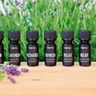 9e81ce58a0a2a8c9e7ab7e3636c54ed4