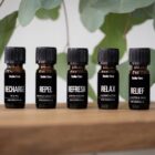 6bdc5fa148f60034d500b5fff7249719