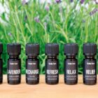 b91079e51cf39550cac7459de2b79900